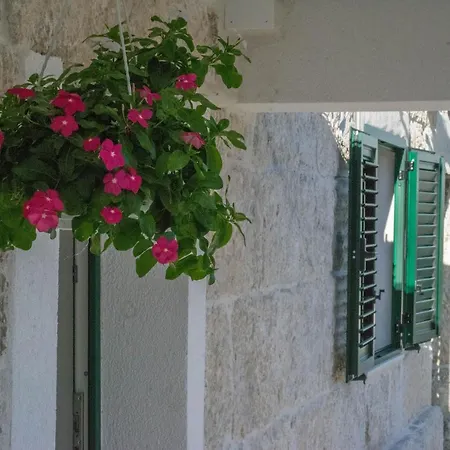 Stone House With Pool Ljubica Villa